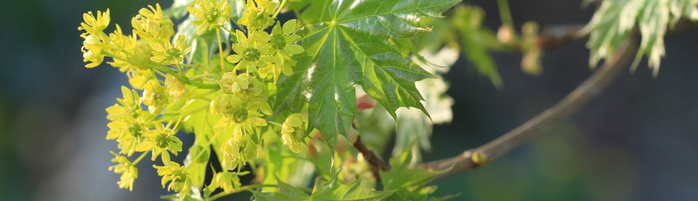 Jutta Karvonen – Ratkaistavissa